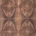 Arin Smoke Jungle Wood Crotch Veneer